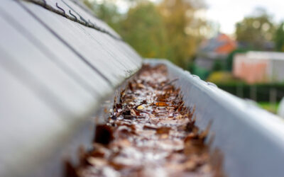 How to Protect Your Home’s Plumbing and Drainage in Autumn