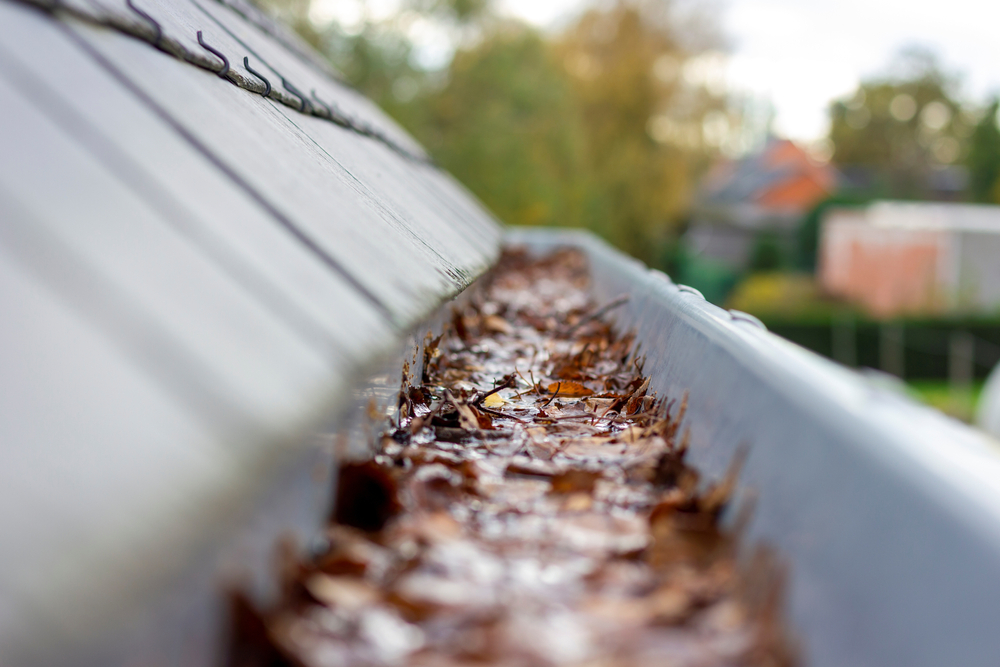 A gutter full of brown fallen leaves in autumn