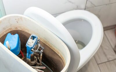 Common Toilet Problems and How to Fix Them